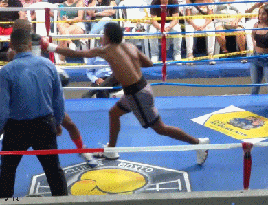 4trrtee5467567r.gif
