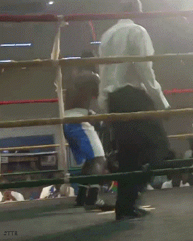 53erssre6u54e.gif