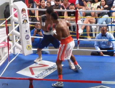 65ttrrttr67567eer324.gif