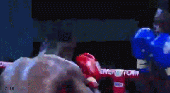 aewwe324i234i324.gif