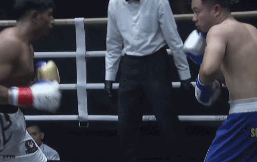 alamiernw45n34534.gif