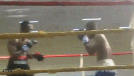 ee33h33334h5sy.gif