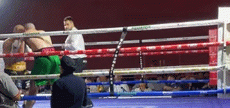 er654r5t86563we.gif