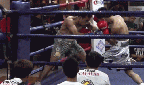 majadas324532432.gif