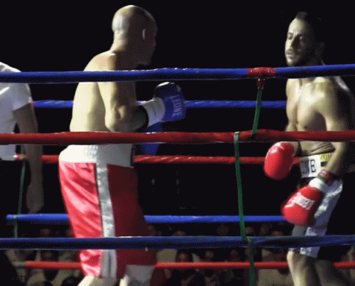 putronetko34234432543.gif