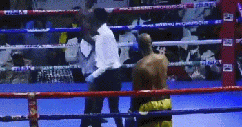t6tytr65.gif