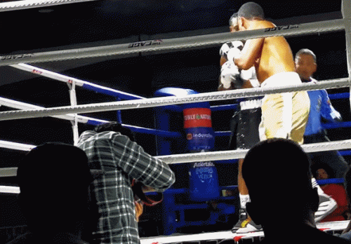larekderewer34532.gif