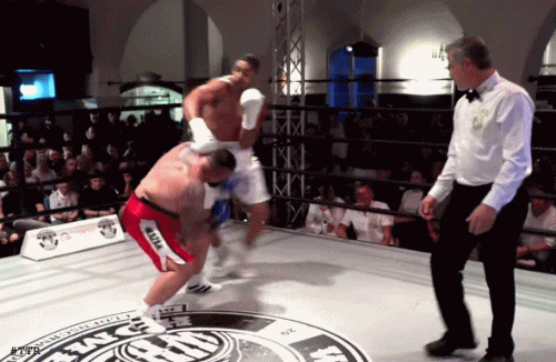 lehnistko43543543.gif