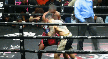 alilweweru3453545365wwe.gif