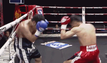 arati35434erw3e534.gif