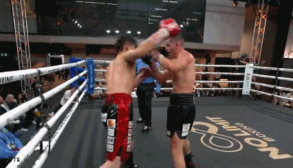ewr43nuu854f4.gif