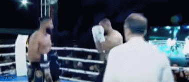 saa34234re345r.gif