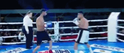 saerwiwi34534iu342534.gif