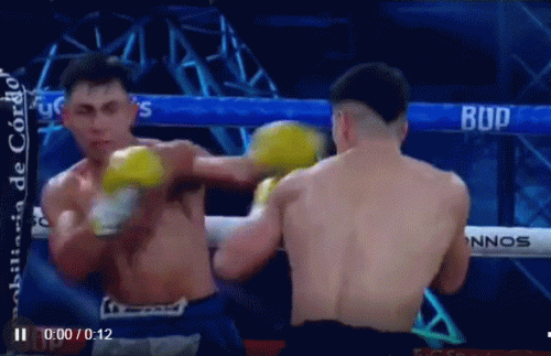 ao9e2394323232yua.gif