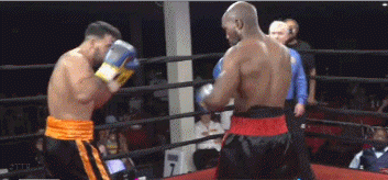 es434ef3ewiui786.gif