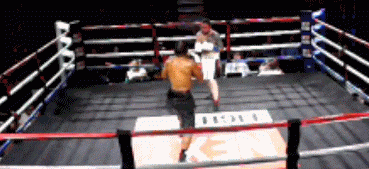 34te45et4554ds.gif