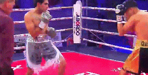 354erfsr5464ttr454.gif