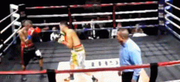 546rt45tr54tr.gif