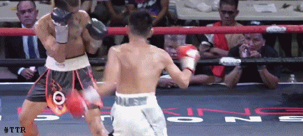 paradero4543koo435ok3.gif