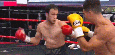 354rrrr45rt45.gif