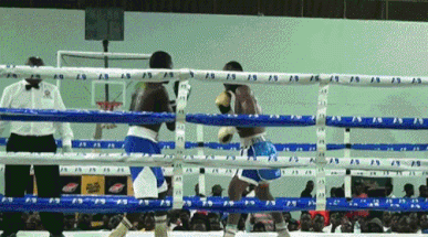 ezgif-1-ba916aa6ee.gif