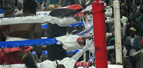 mwotko454t45gj8or0h78954.gif