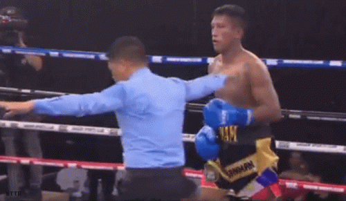 432rewf24fq432.gif