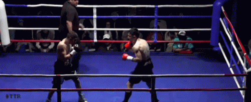carrtreigeoiutbn5t3ub44343.gif