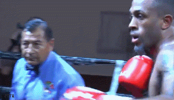 gooch342wefd34w.gif