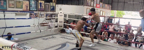 liu4524fe34few.gif