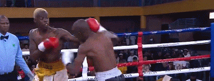 quiqi976iuyt876t97g.gif