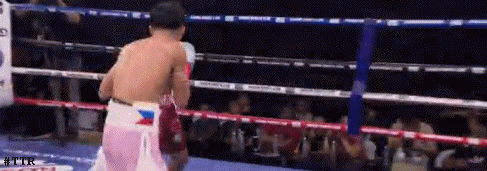 refugiortd342ed432.gif