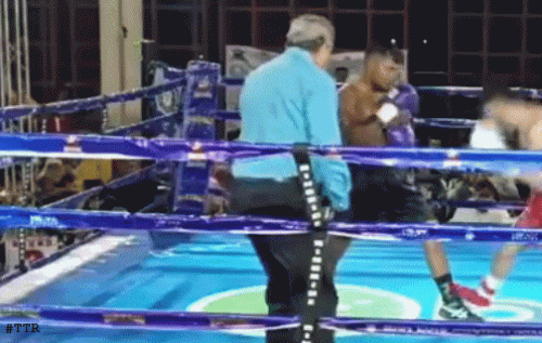 saulrtreeb433hjg43.gif