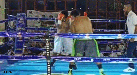 turcwcwd42r32rfdwec42.gif