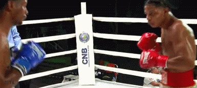 jaoao213ds23.gif
