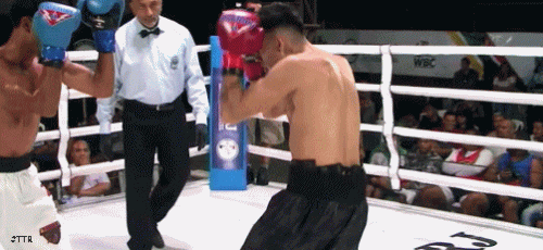 mariano3423dwe243.gif