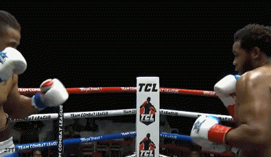 mikehunter34232frwer234.gif