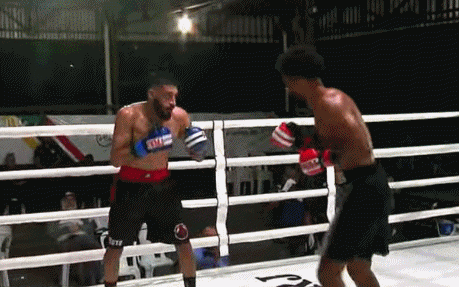 thiaqgo35423fdwf34.gif