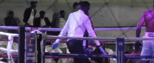 ahmedtko4323rfew34.gif