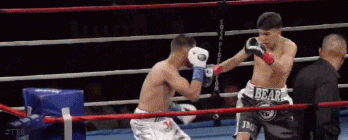 ezgif-3-a43042cef9.gif