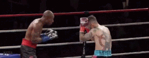 ezgif-3-bbce130951.gif
