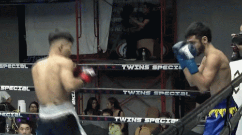 chaiy4353few32t43ew.gif