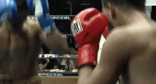 chantko453tggko5t45.gif
