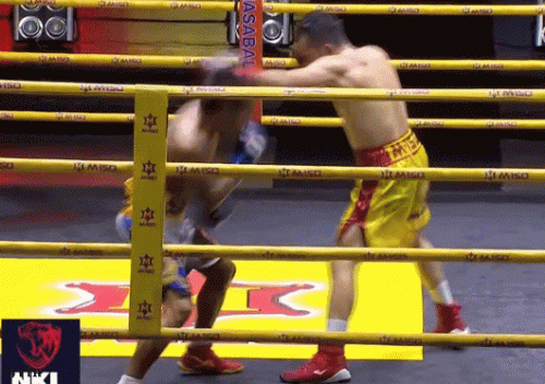 nawa4543oih43ou5h34.gif
