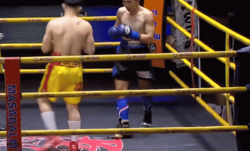 sri2432f334fwef324.gif