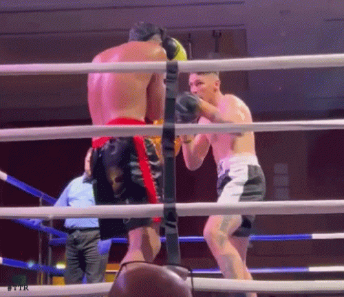 beekintko453few43.gif