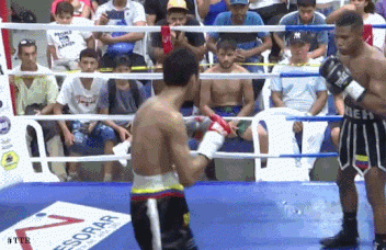 ezgif-4-f37c484d78.gif