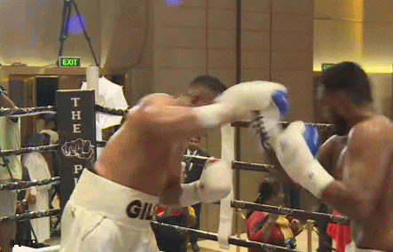 harshko23ds32dws32.gif