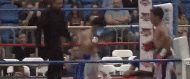 manuelromero342edd12.gif