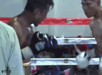 mazzotko453f34.gif